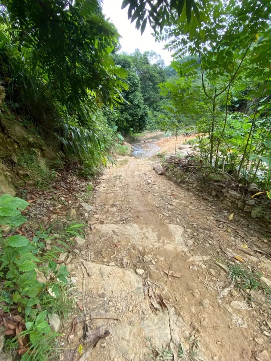 Image 11