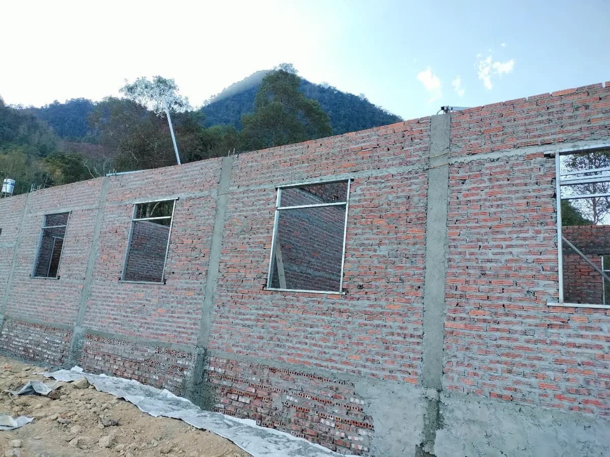 Image 12