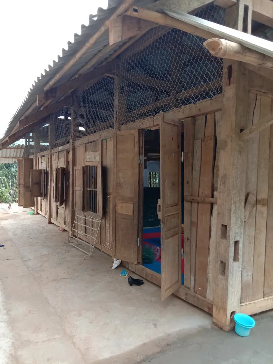 Image 5