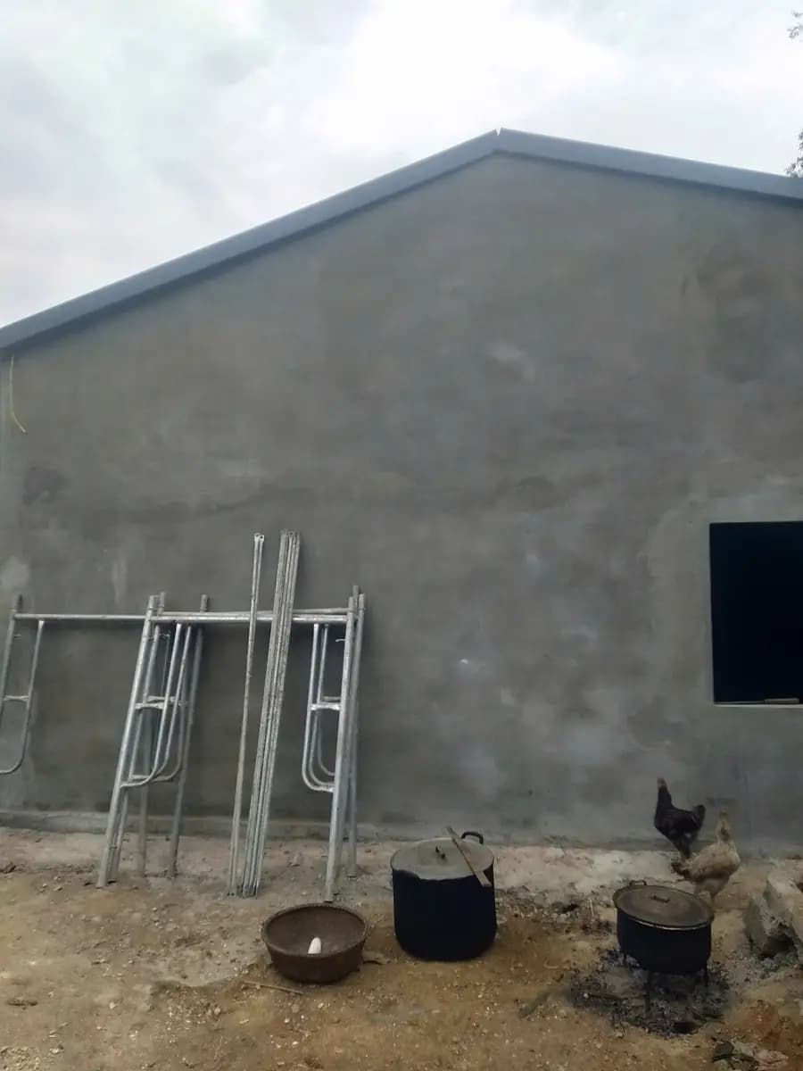 Image 6