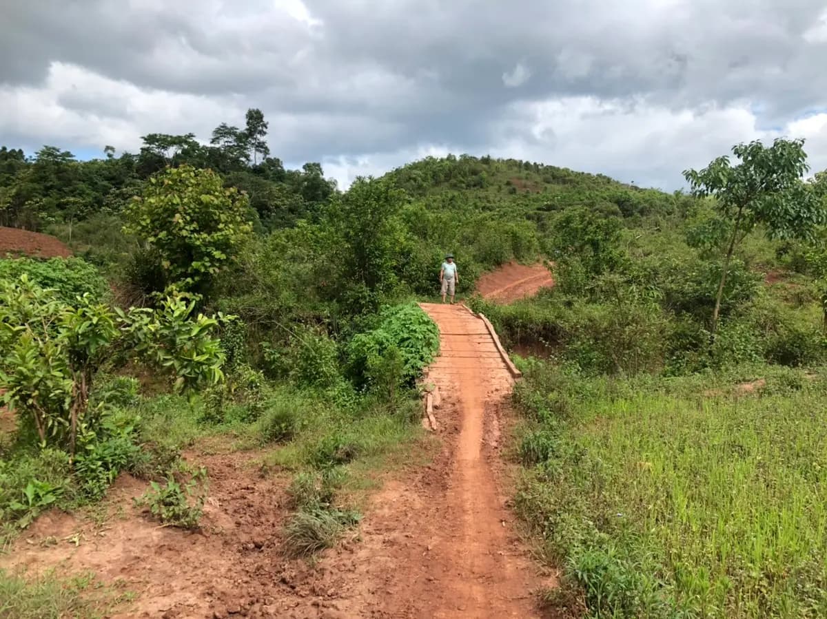 Image 10