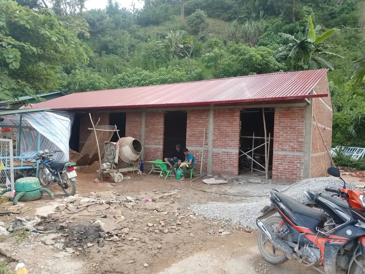 Image 11