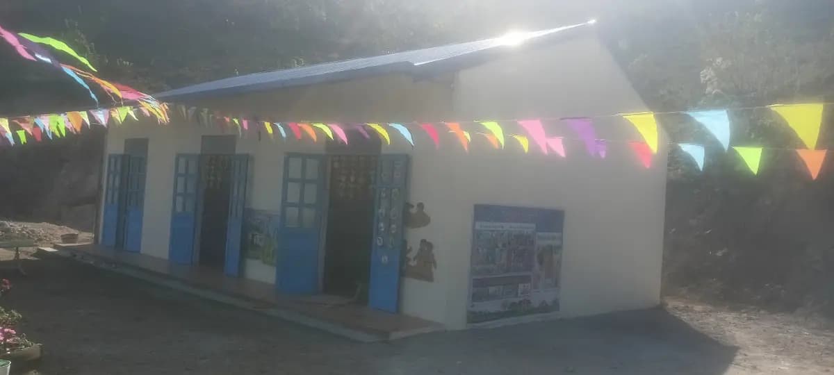 Image 8