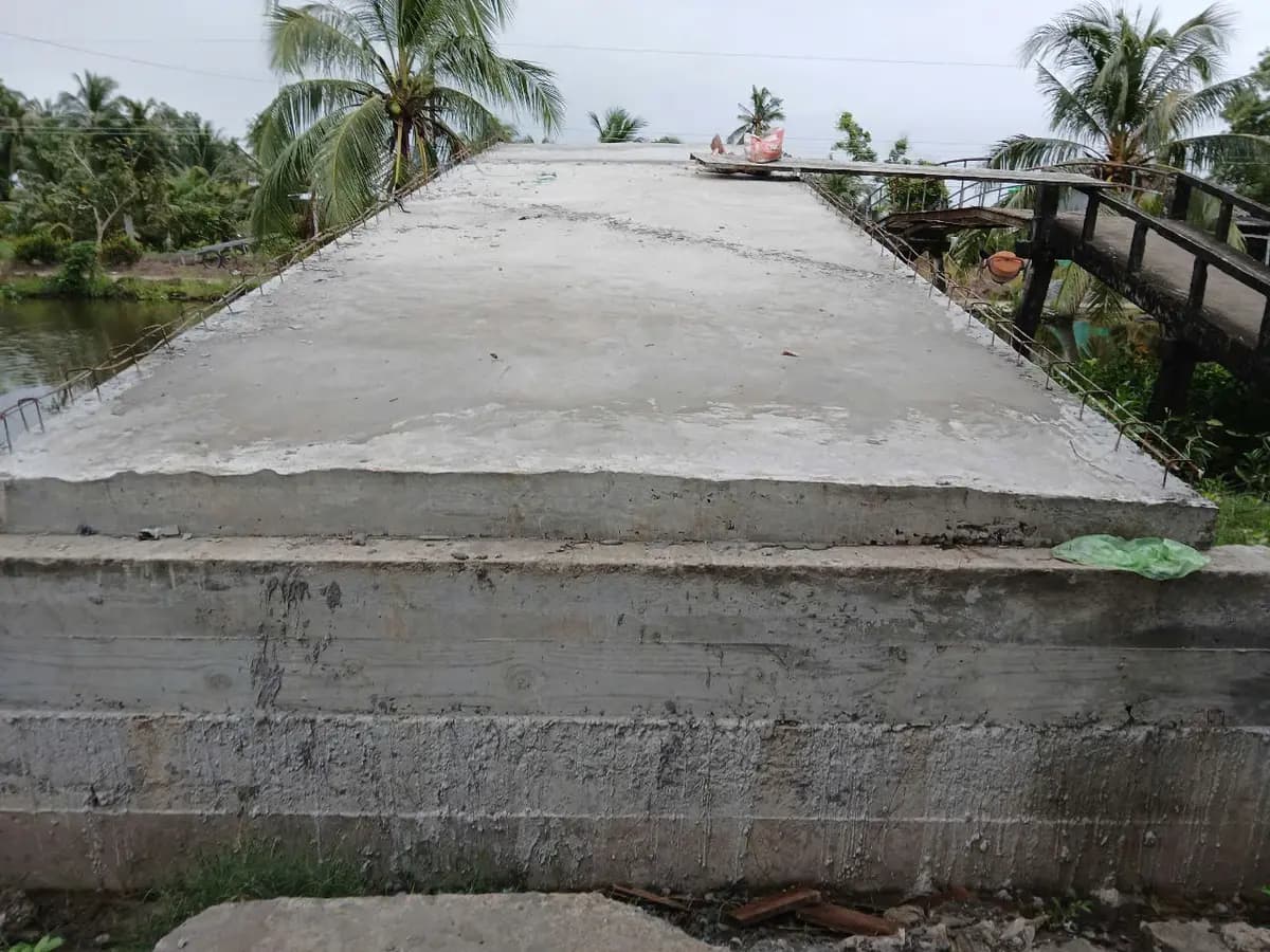Image 19