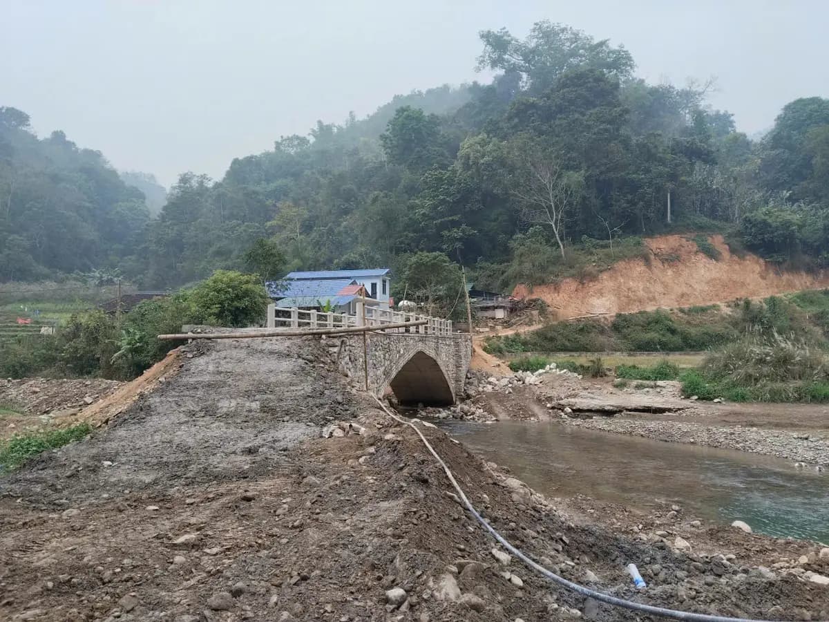 Image 6