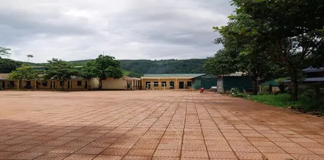 Image 30