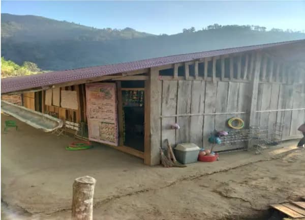 Image 4