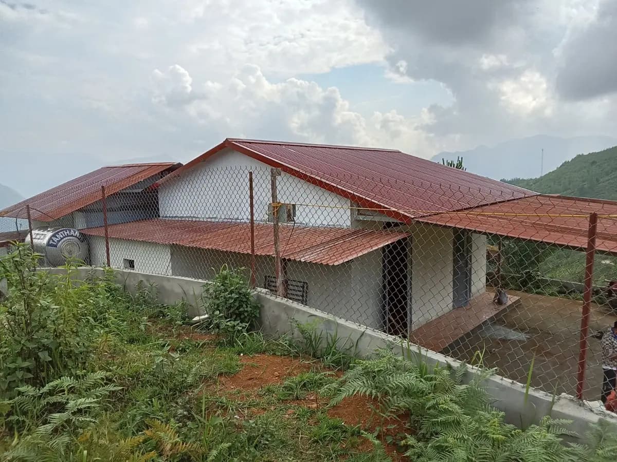 Image 6