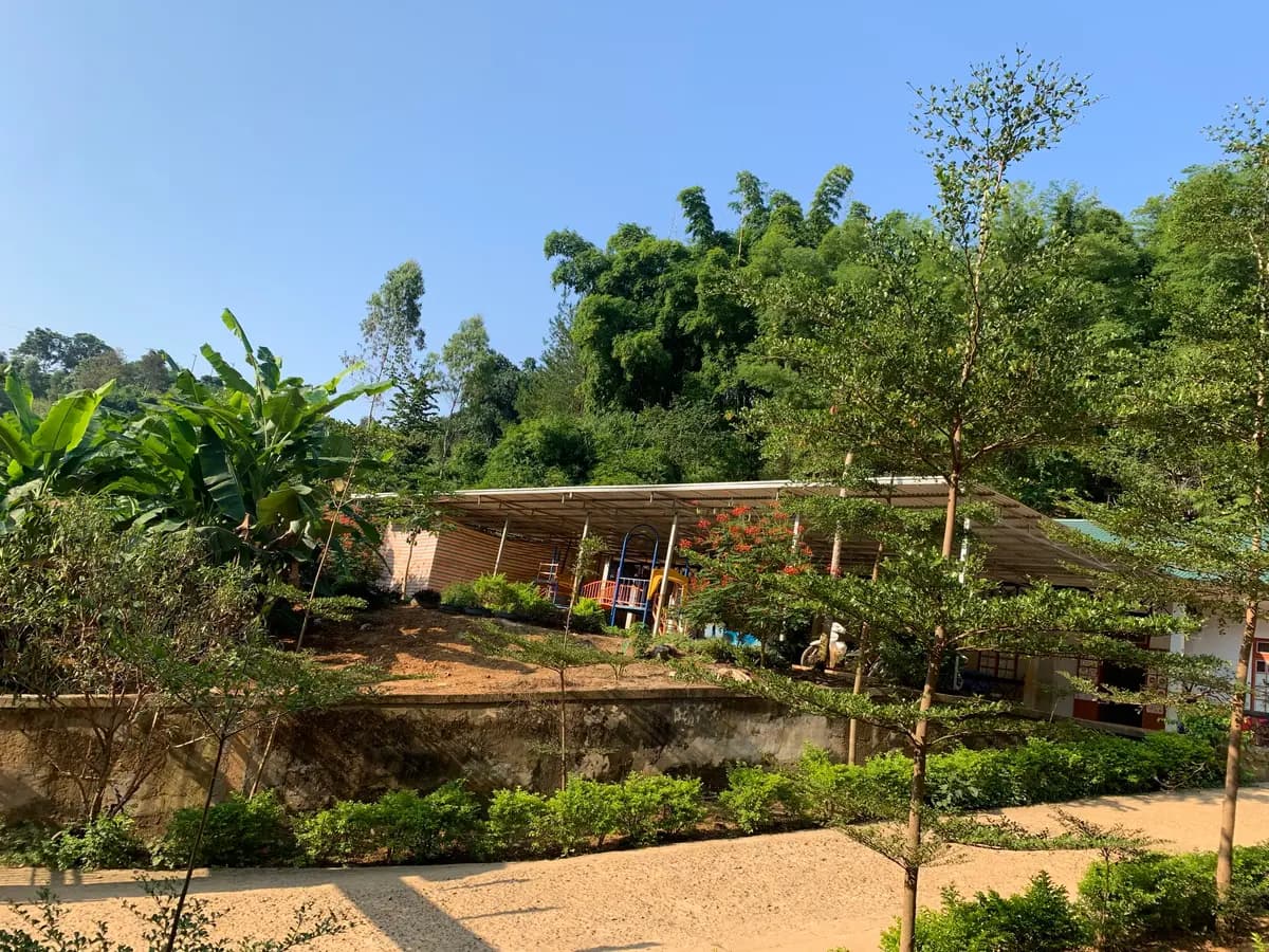 Image 6