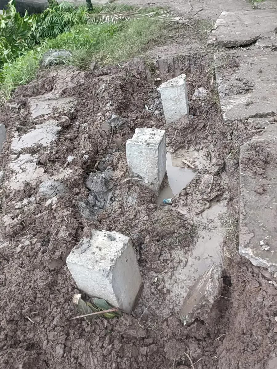 Image 43