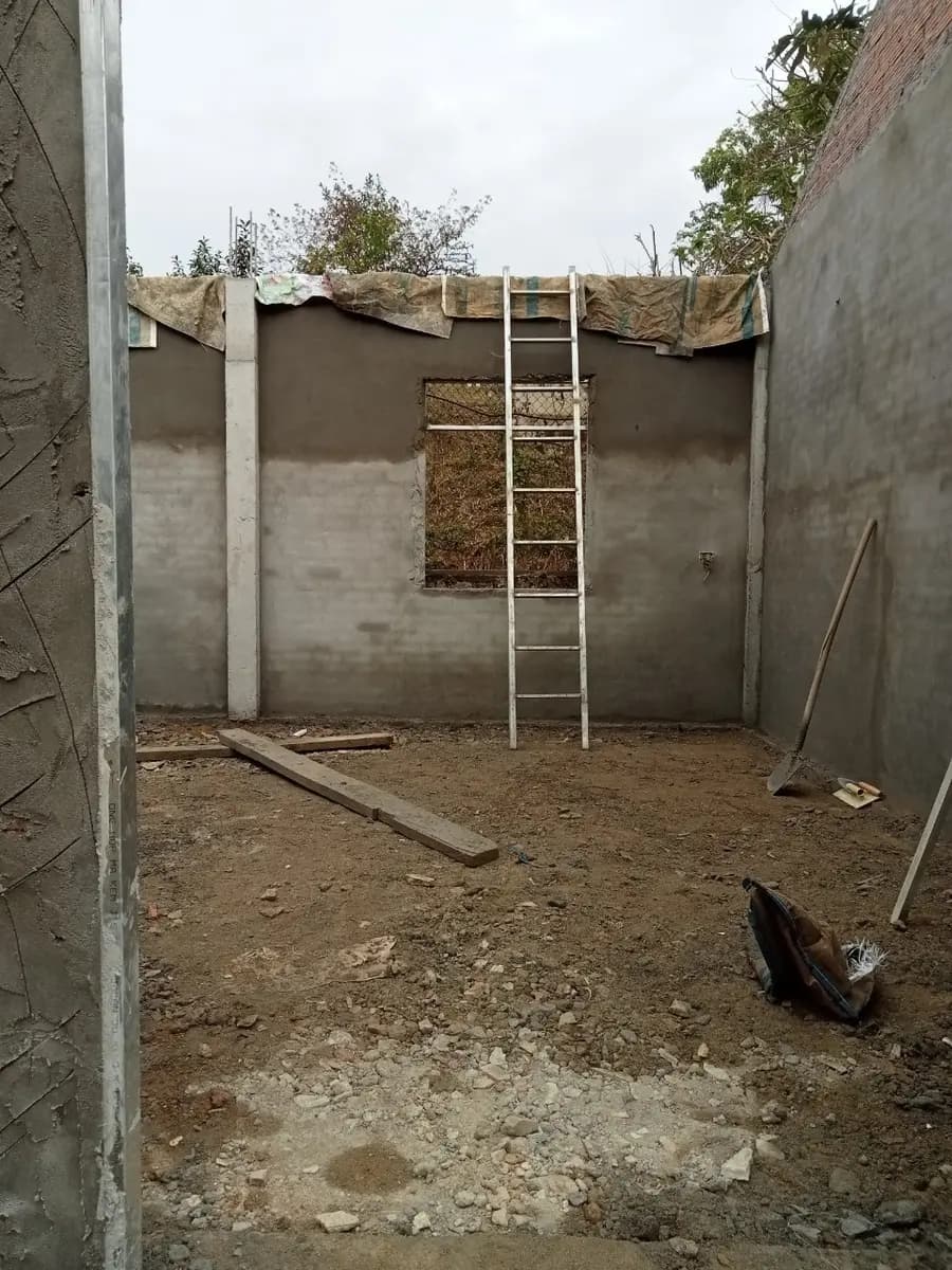 Image 6