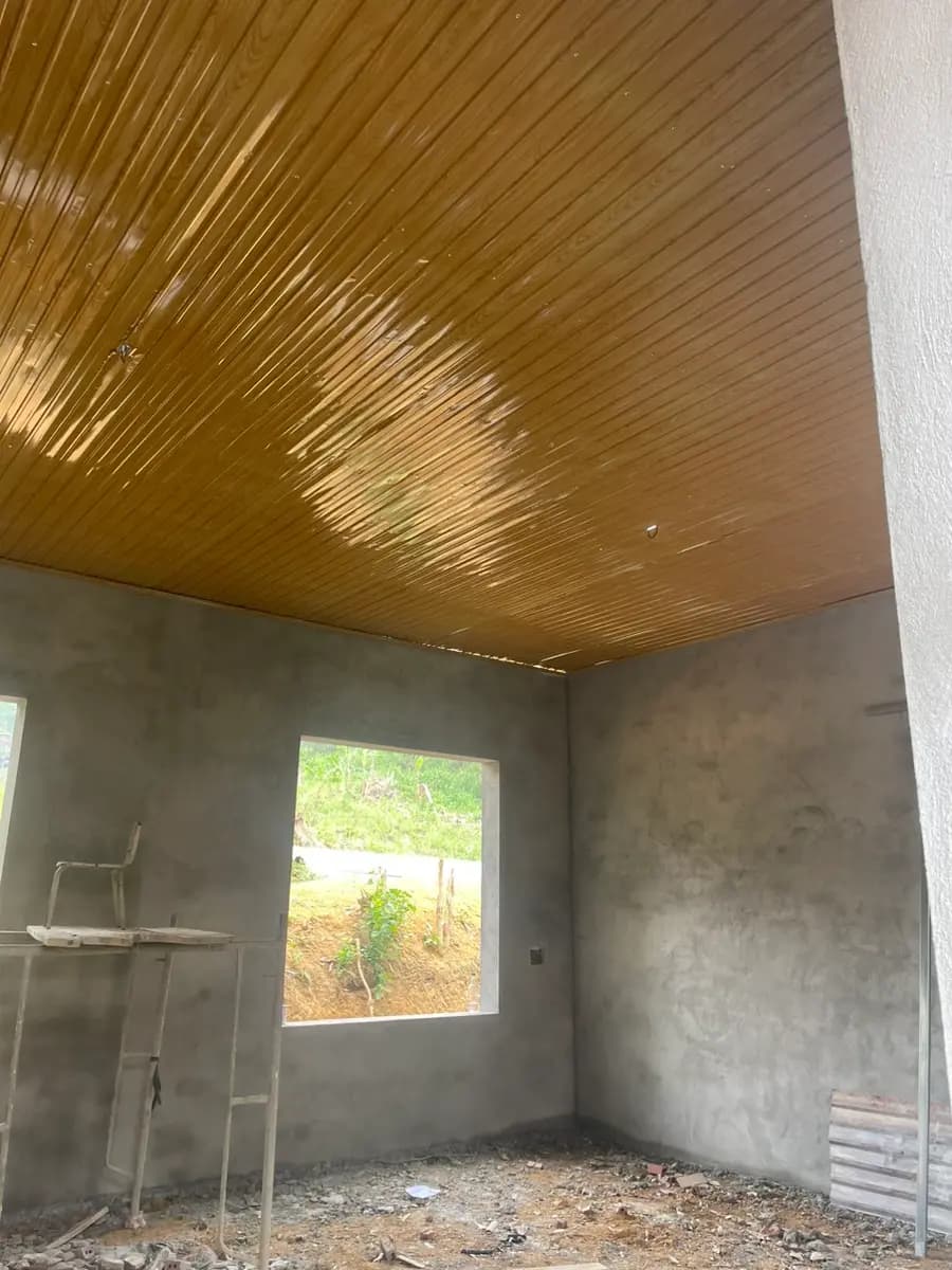 Image 15