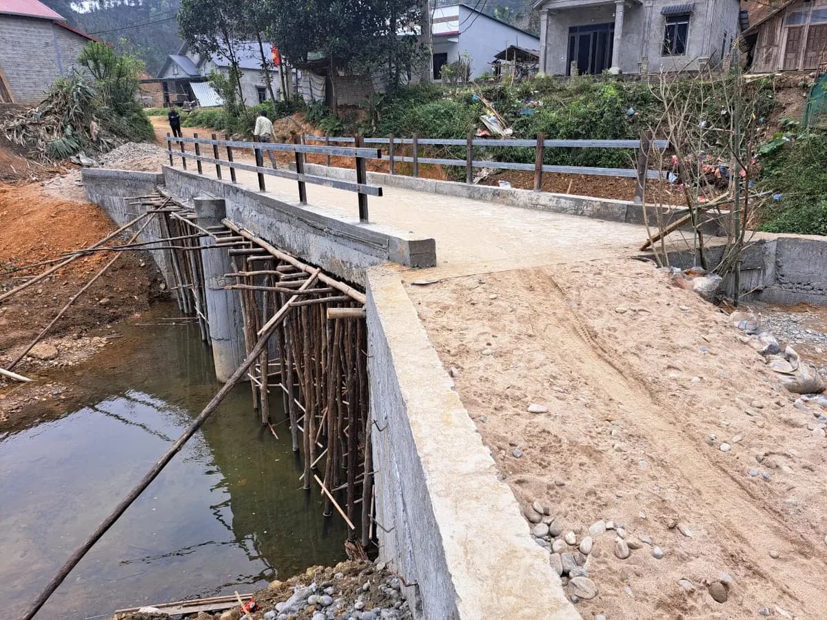 Image 10