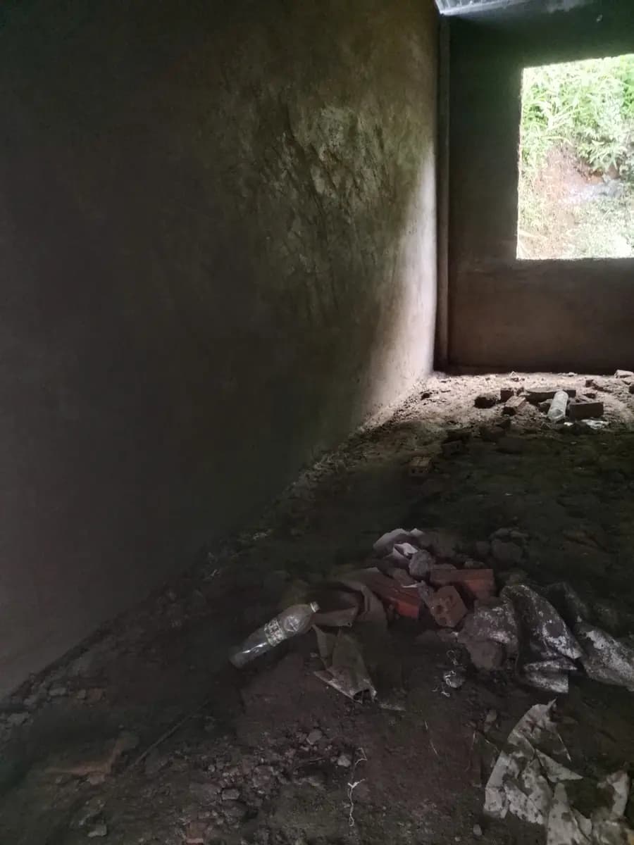 Image 14