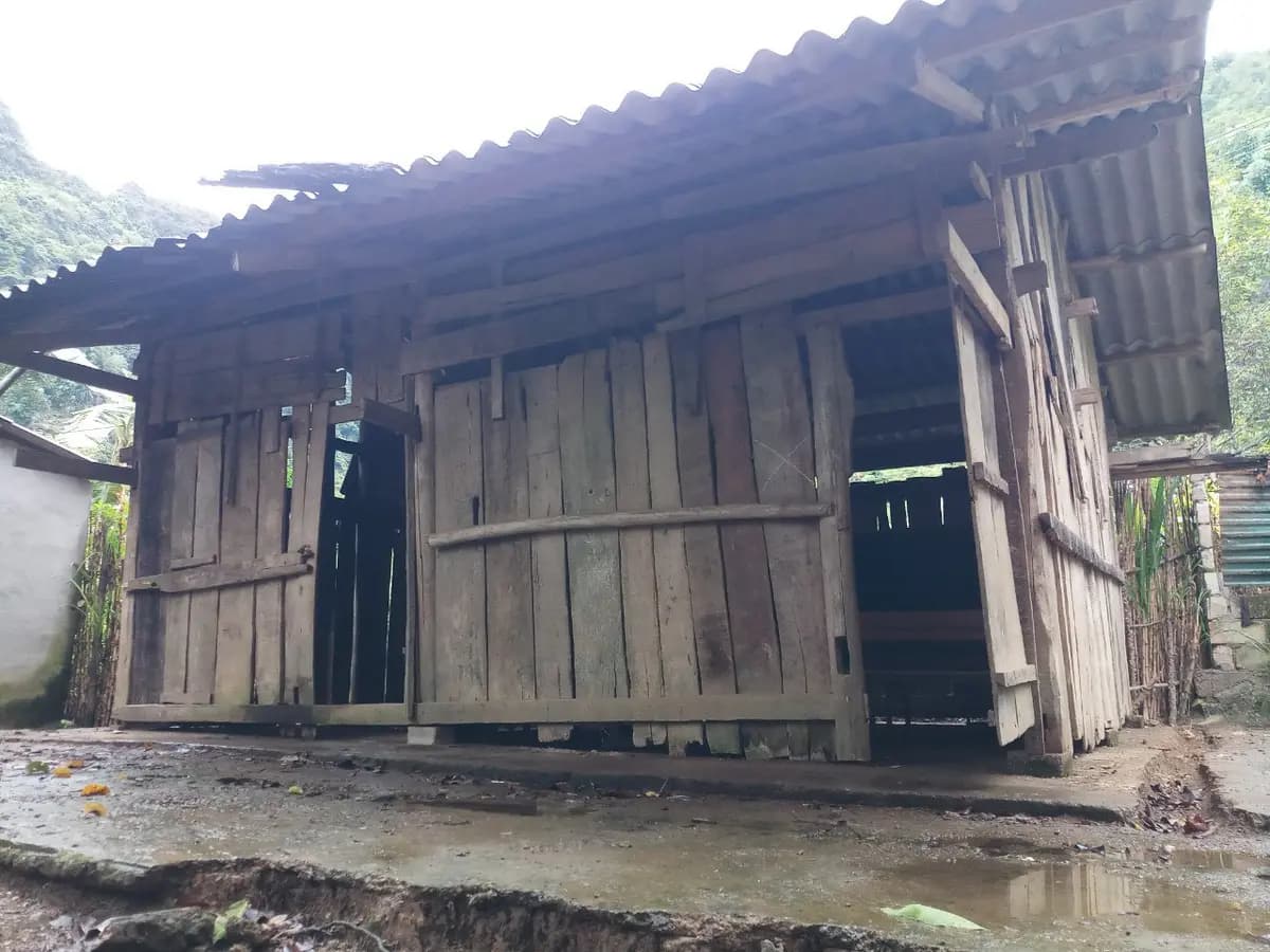 Image 8
