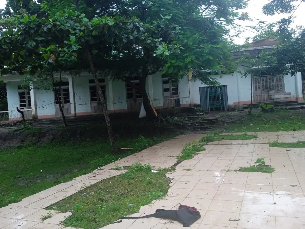 Image 10