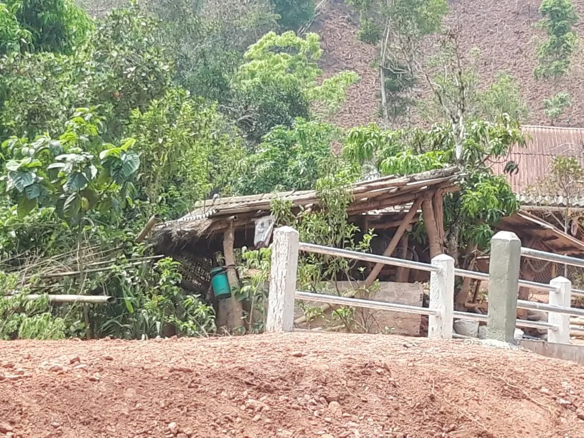Image 6