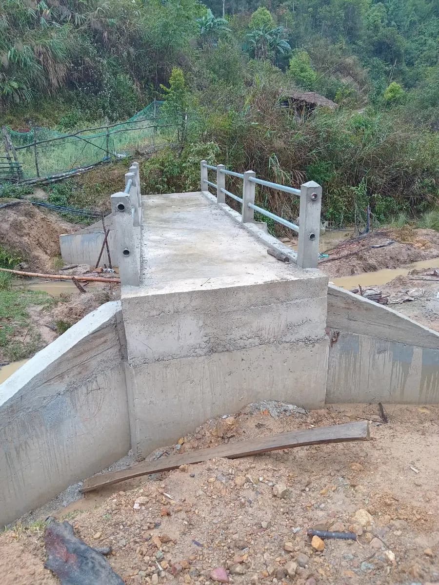 Image 19