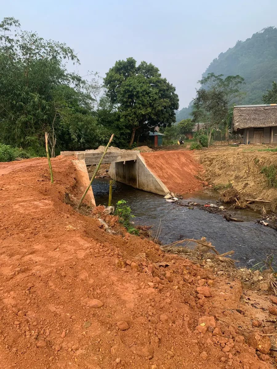 Image 15