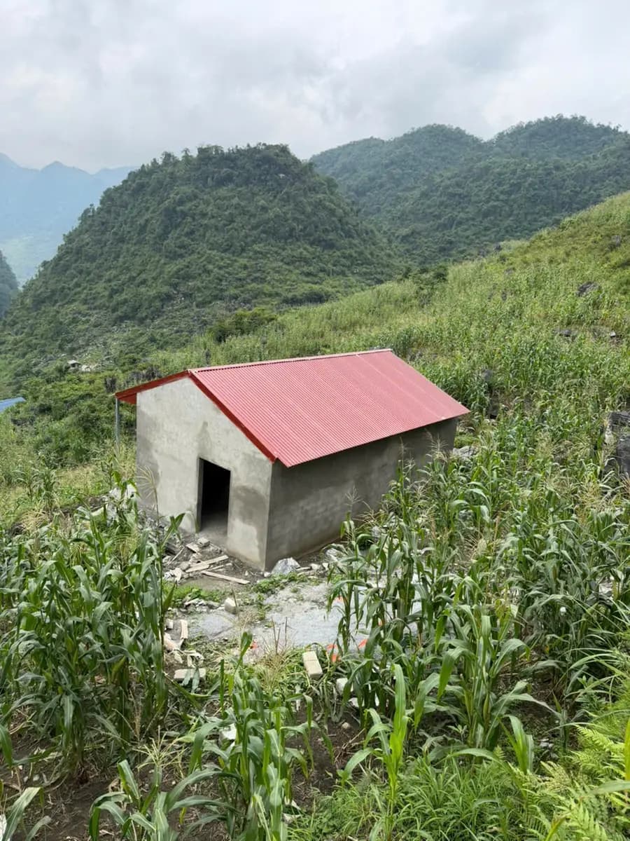 DA0882 - NHP278 - Ly Thị Mai - Thôn Cờ Cải -  xã Đường Thượng -  Tỉnh Tuyên Quang