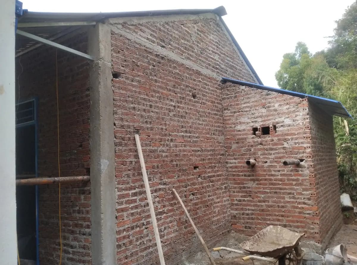 Image 15