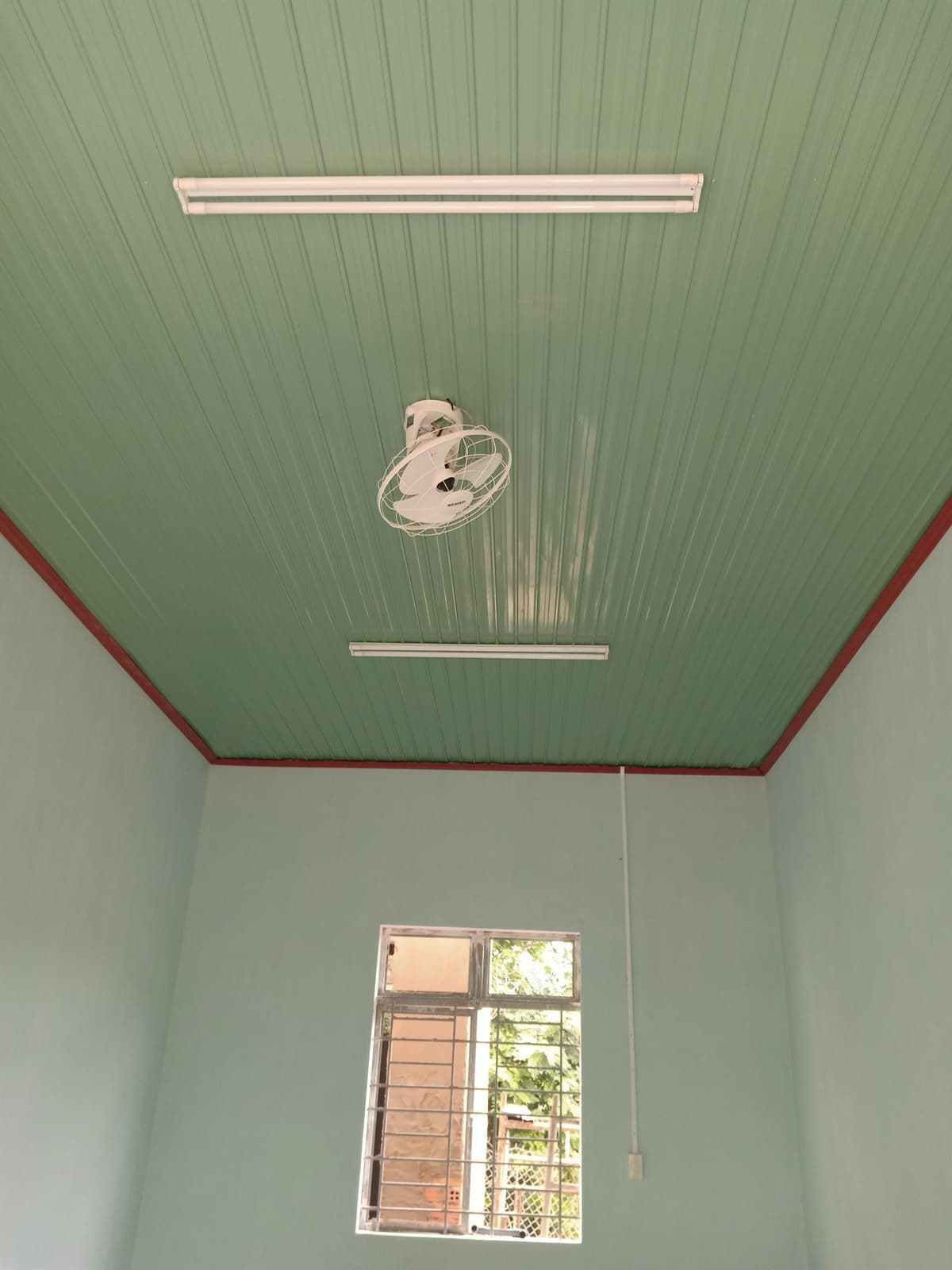 Image 8