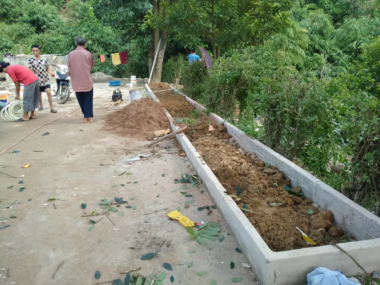 Image 4