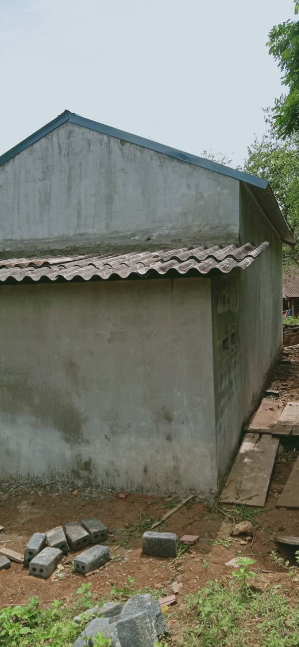 Image 12