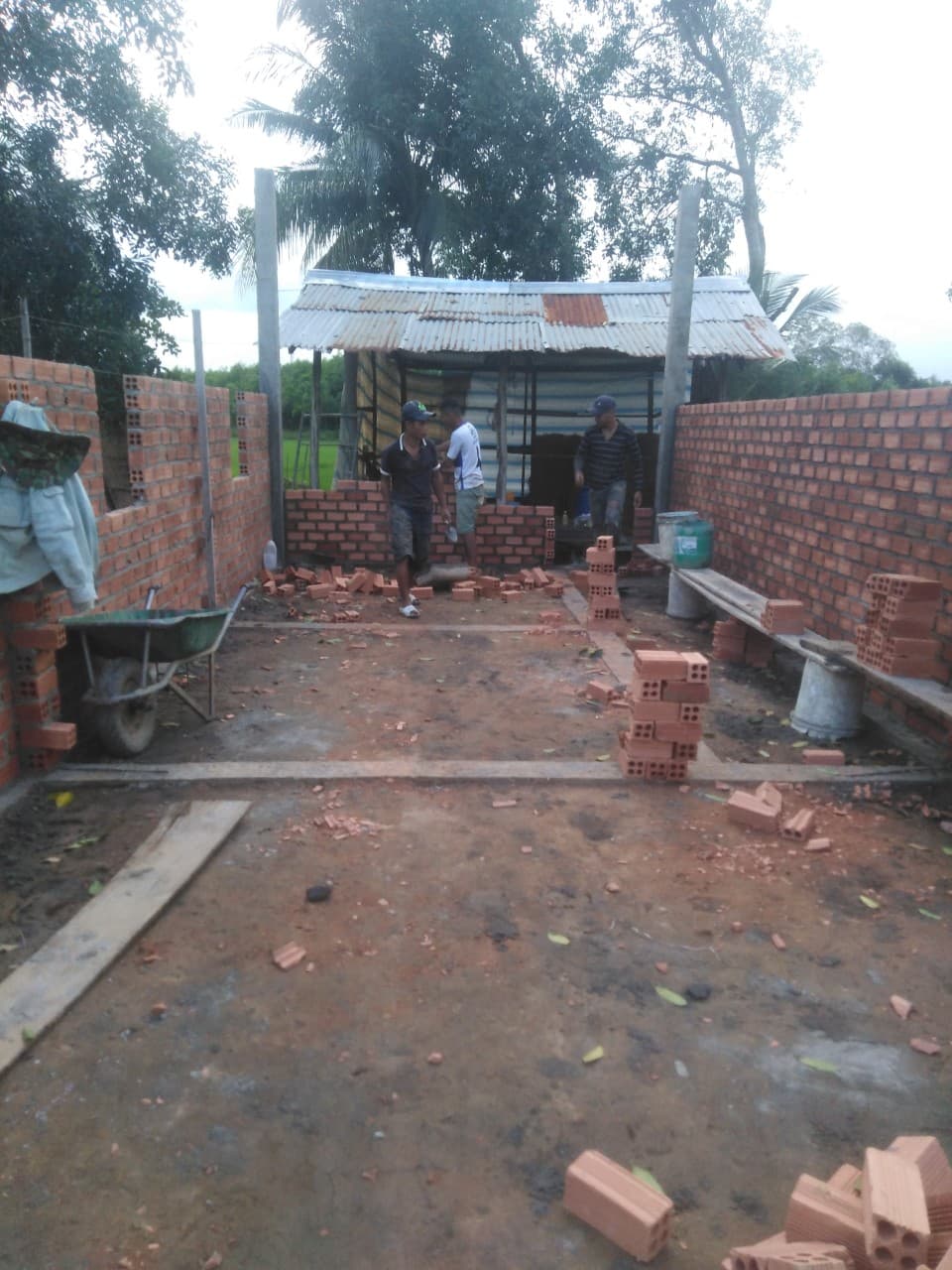 Image 7